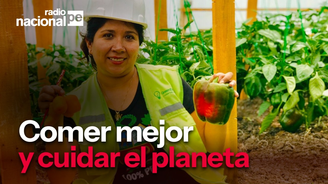 Negocios verdes en Perú: cómo comer mejor y ahorrar cuidando el planeta 🌱🇵🇪