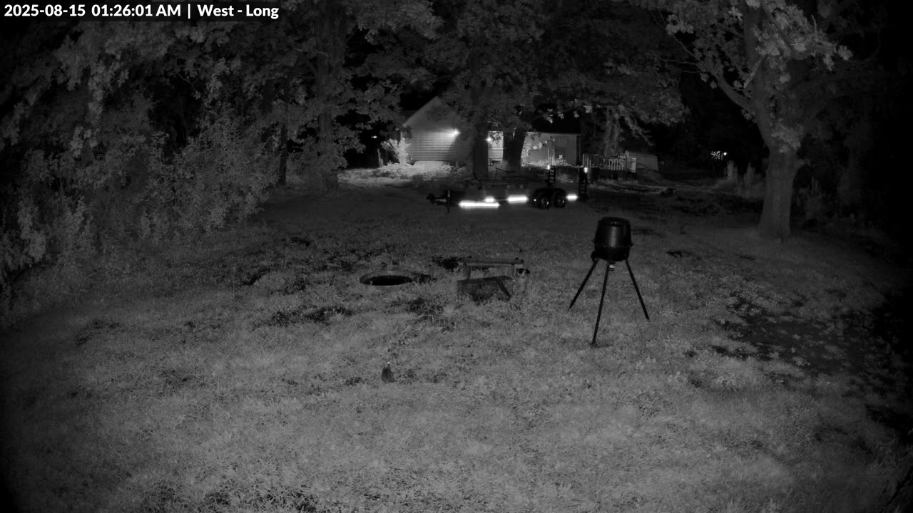 Animal Watch - 8/15/25 AM