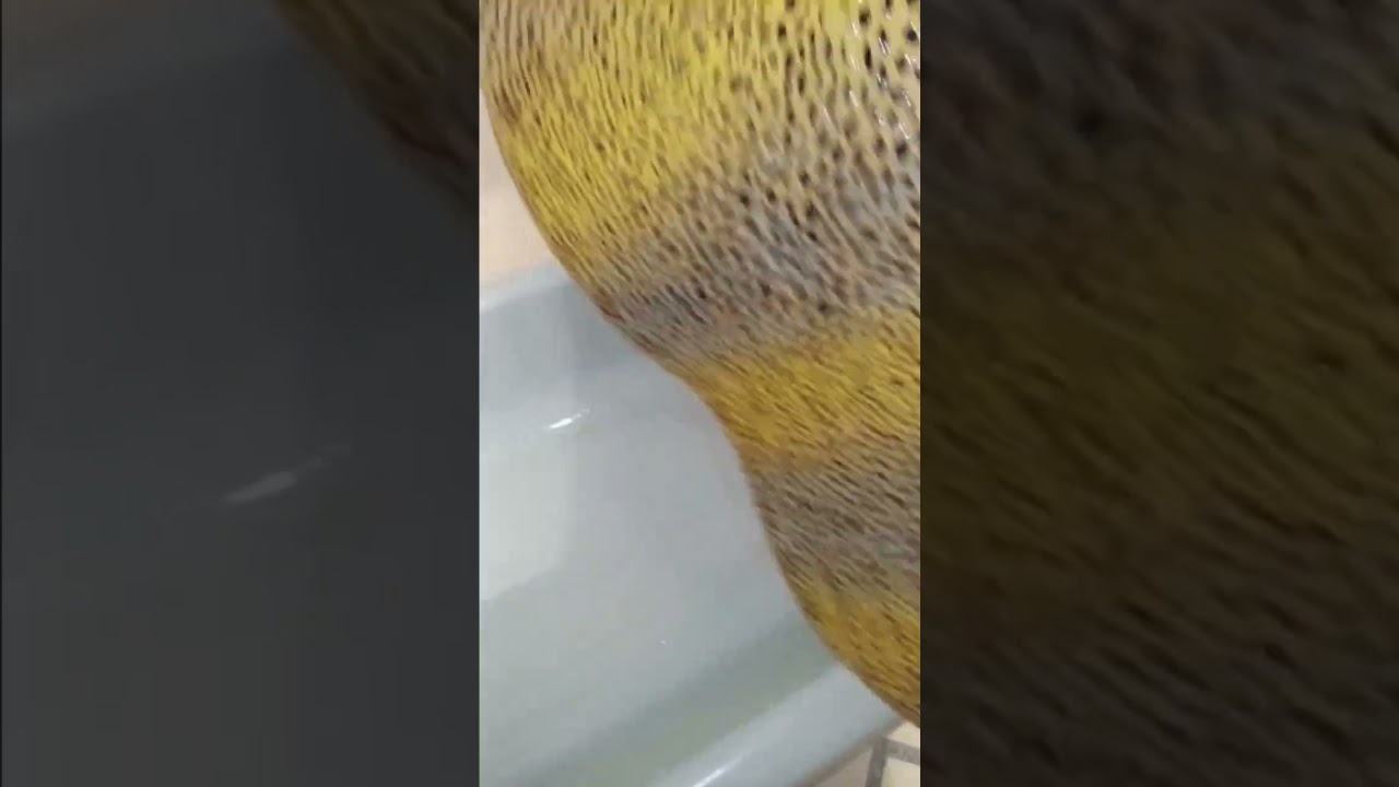 EASY, NO SCRUB TUB CLEANING