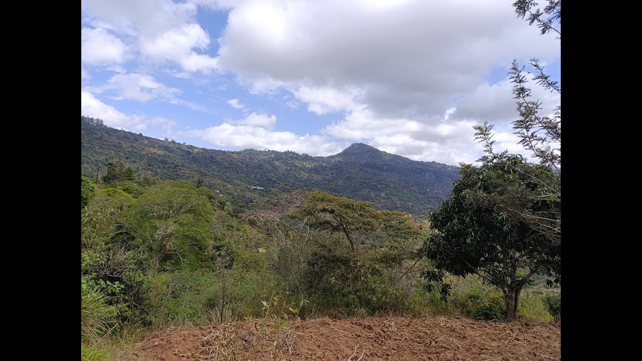 Mbuw'enyi (At the Farm) | Episode 44