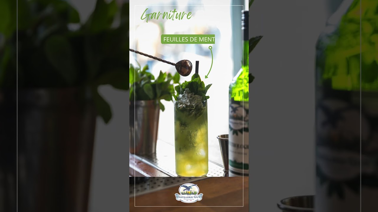 Cocktail Mojithologie