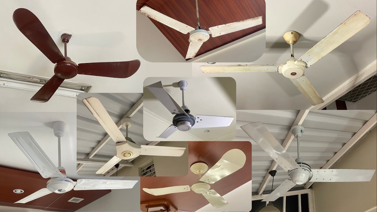 Ceiling Fans In My House!
