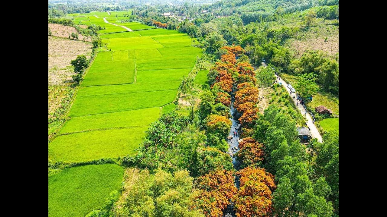 SUỐI TÀ MÁ FULL HD.