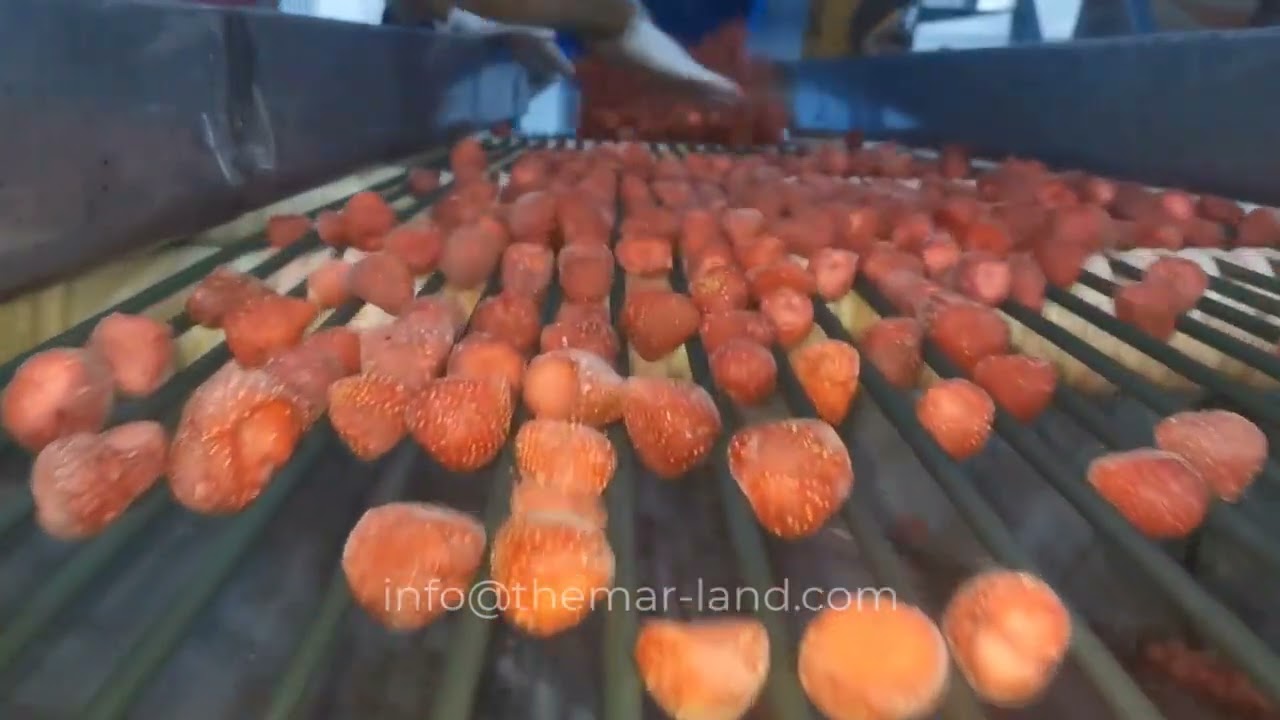 Themar Land Frozen- IQF fruits: Strawberries