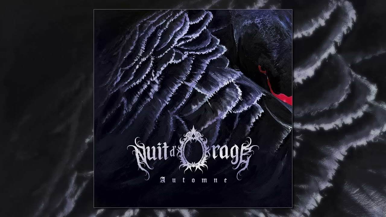 Nuit d'Orage - Symbiose (New track 2025)