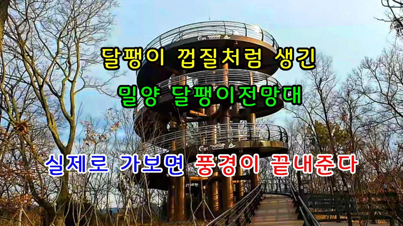 밀양여행 미리 알고 가면 좋은 볼거리가 되는 지그 재그 데크와 밀양강과 영남루까지 한눈에 들어오는 풍경 명소