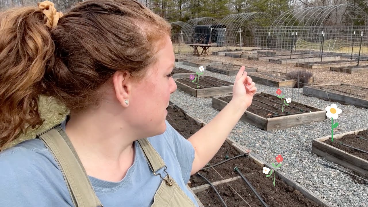 This was $700!!!! 🌿🌱 The BEST garden product.