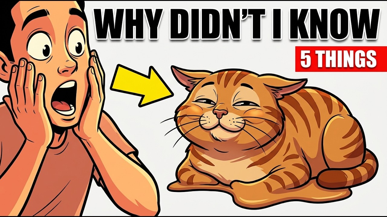 5 simple things cats absolutely LOVE — and most owners never think to do them!