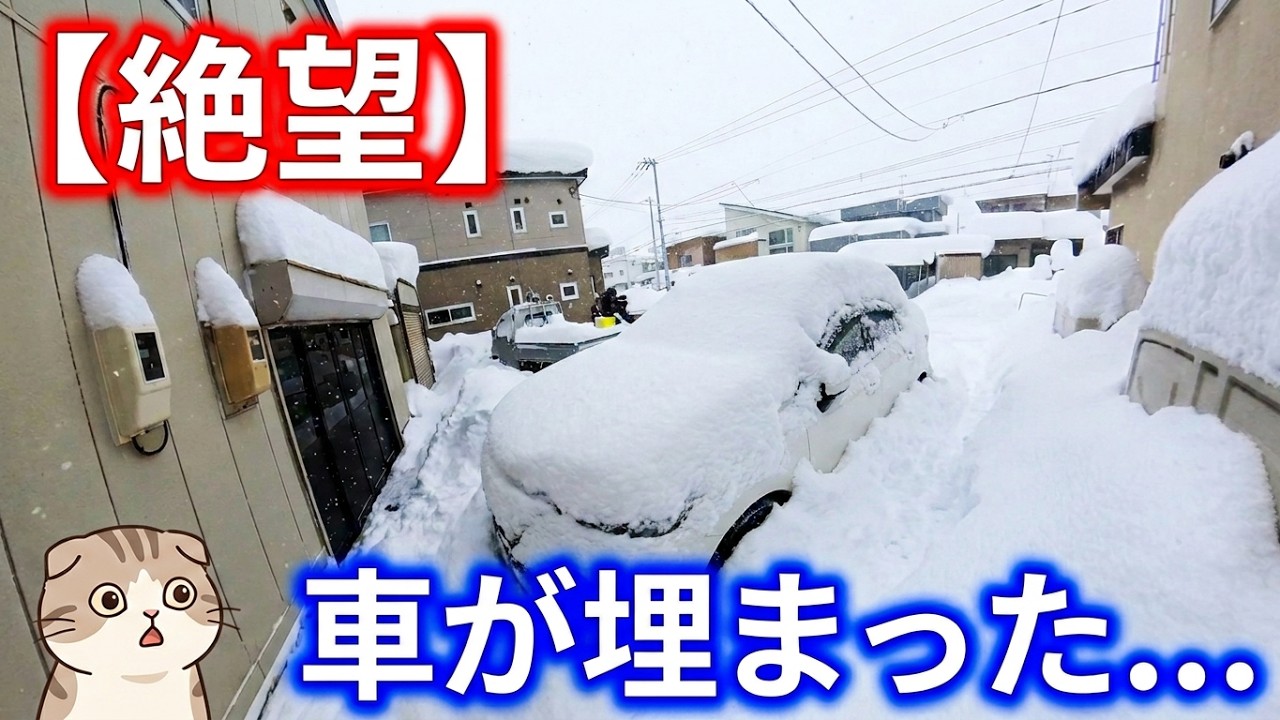ドカ雪ってか❓