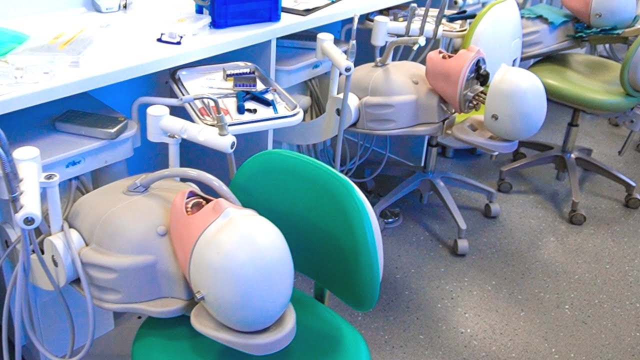 UCLan Dental School Tour | Q&A with current dental students PART 1
