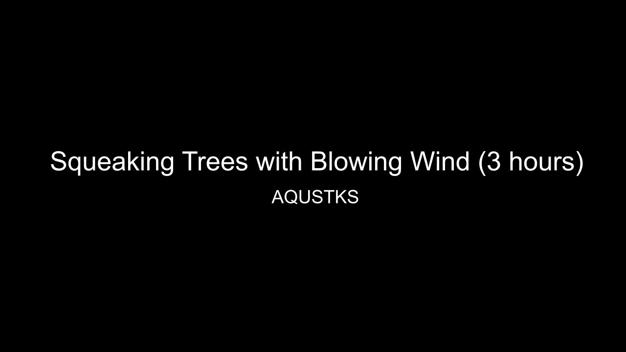 Squeaking Trees with Blowing Wind - Sounds for sleeping (audio only)