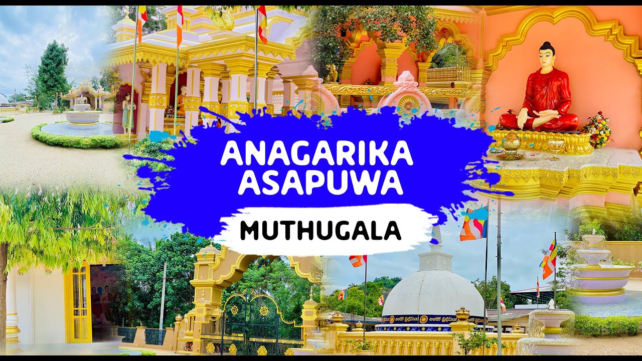 මහමෙව්නාව අනගාරිකා අසපුව | Mahamevnawa Anagarika Monastery-Muthugala,Dambadeniya | Travel