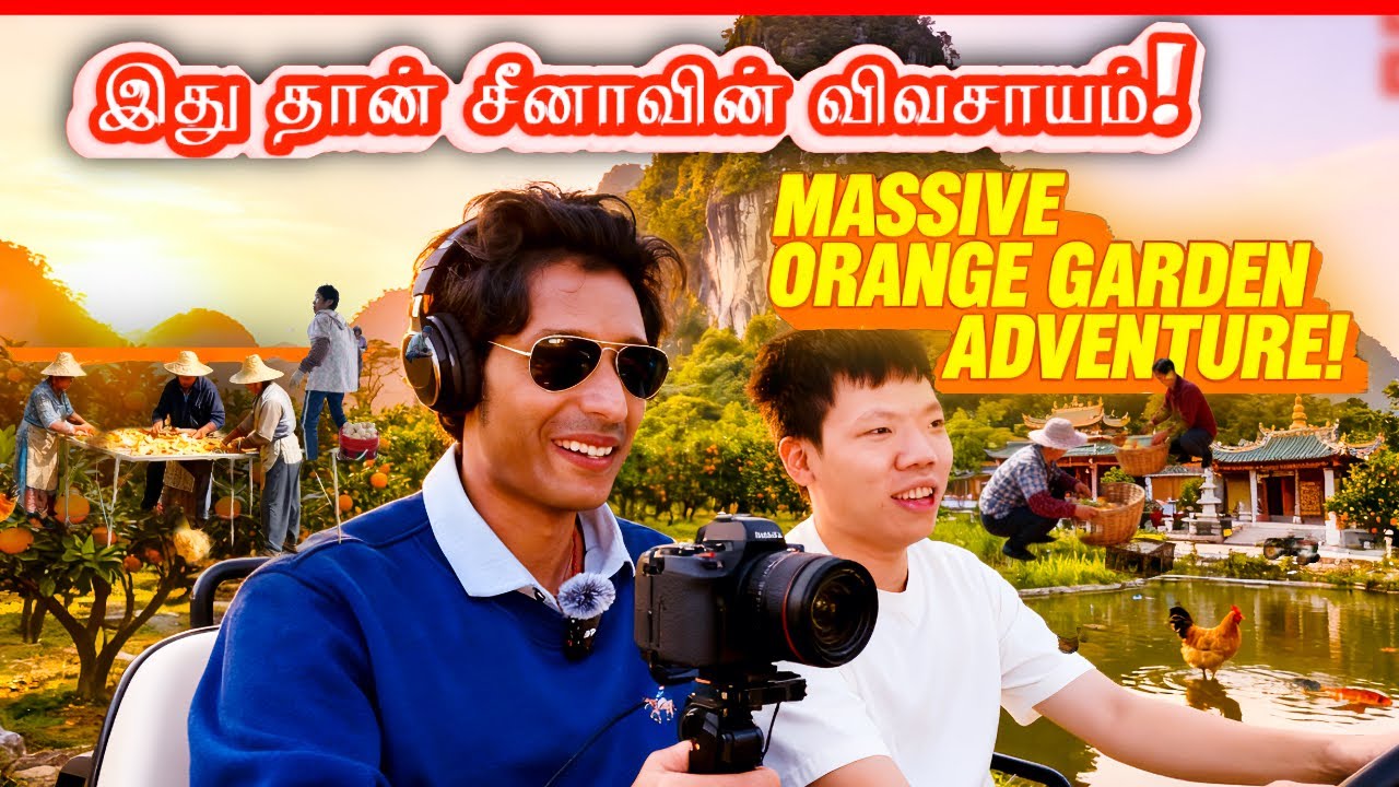 🇨🇳இது தான் சீனாவின் விவசாயம்! 😳🍊Orange Skinக்காக மட்டும் பெரிய தோட்டம்!அச்சரியமா இருக்கே! #china 