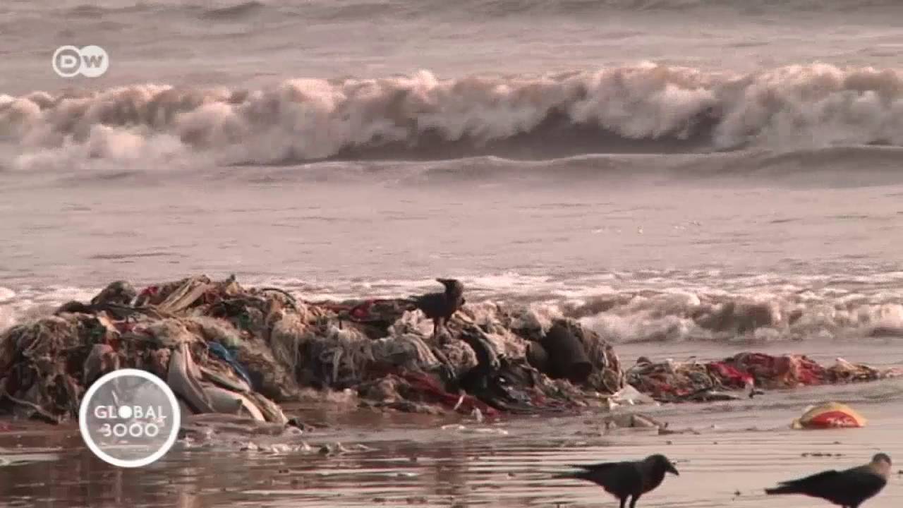 India: el manglar de Mumbai en peligro. | Global 3000