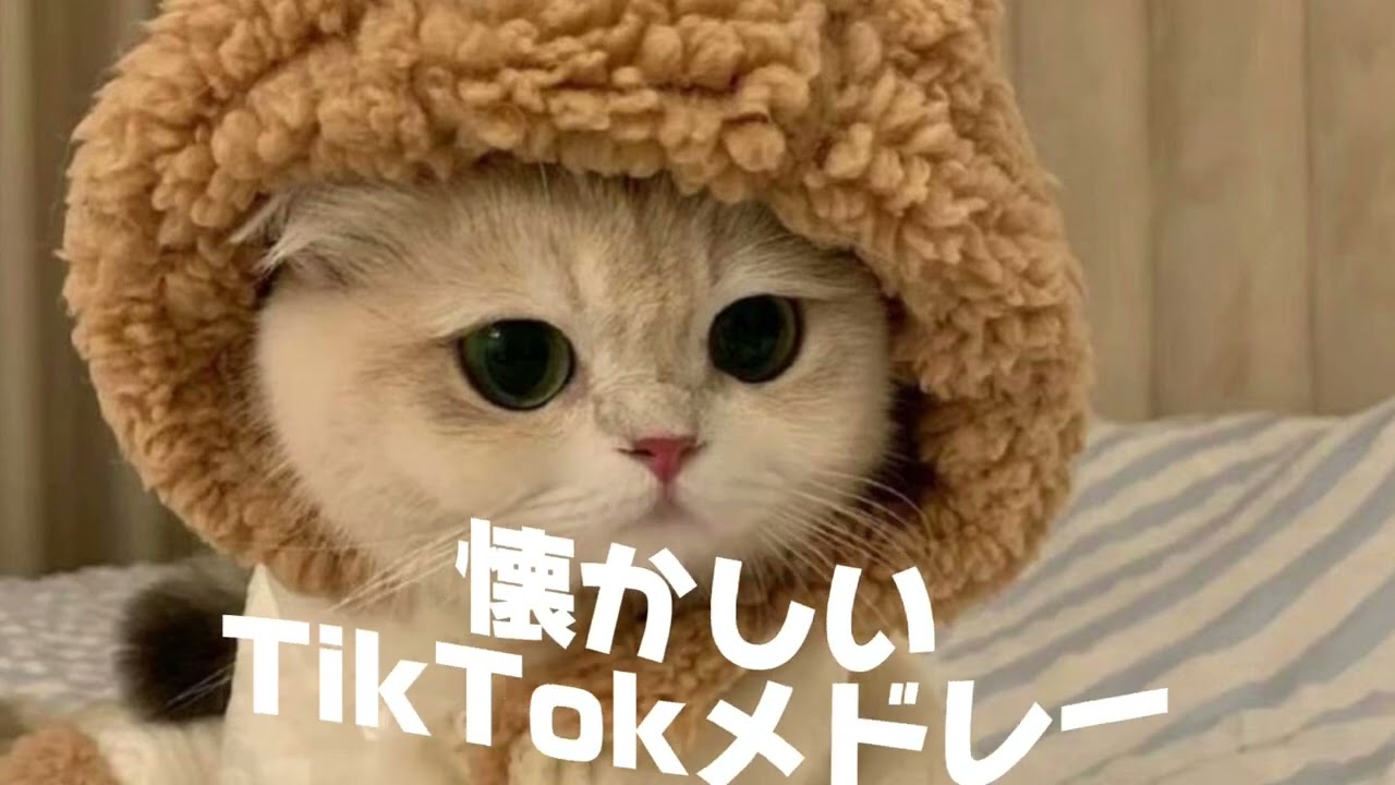 【懐かしい】2022~23年流行ったTikTokメドレー