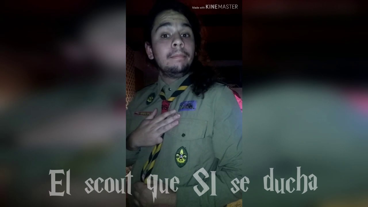 Tipos de scout en cuarentena