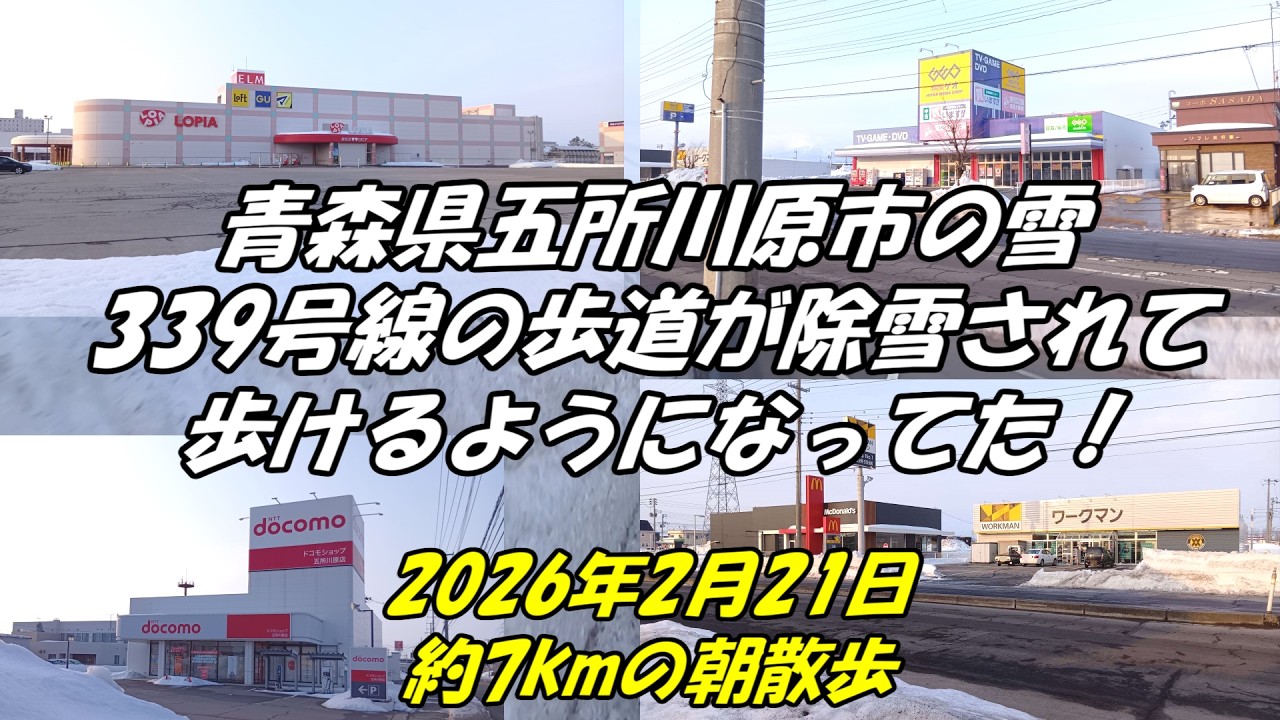 青森県五所川原市の雪339号線の歩道が除雪されて歩けるようになってた！2026年2月21日約7kmの朝散歩