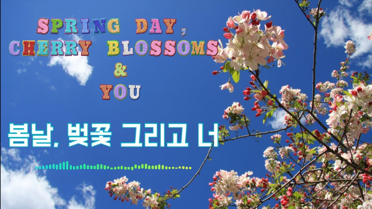 Epiton Project (에피톤 프로젝트) - 봄날, 벚꽃 그리고 너 (Spring Day, Cherry Blossoms & You) - Piano Cover