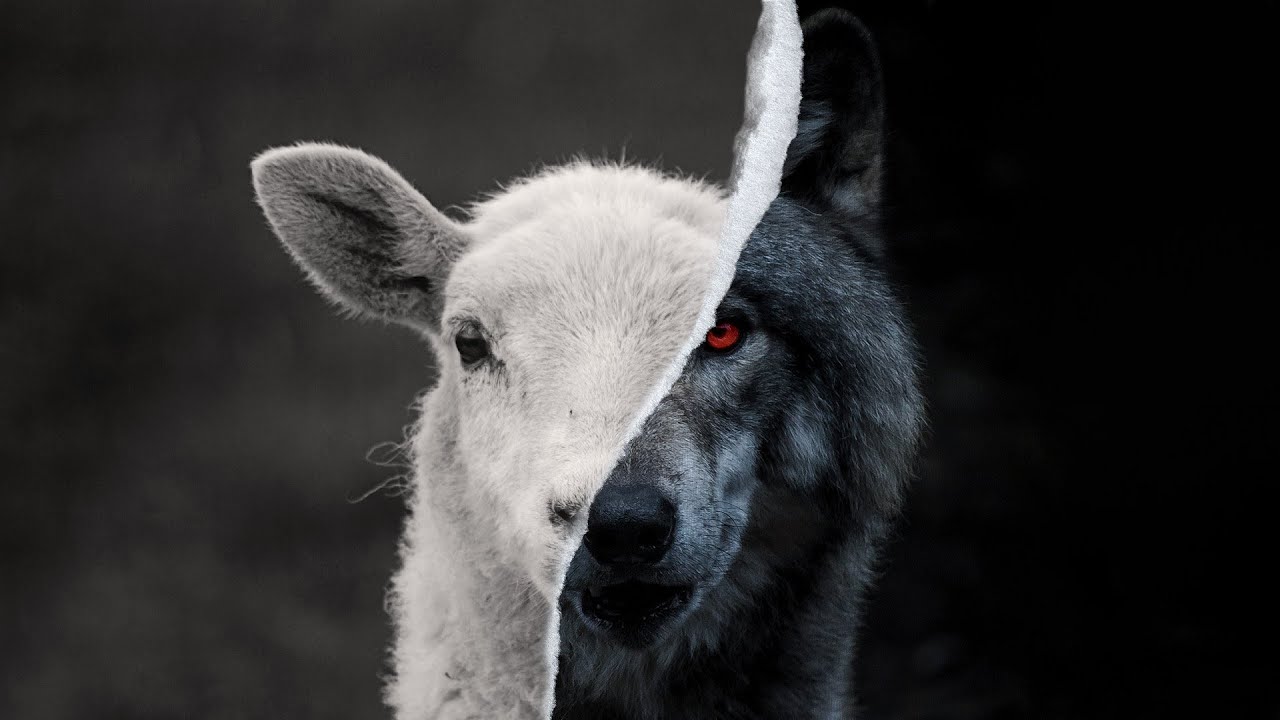 Who is the False Prophet of Our Day?