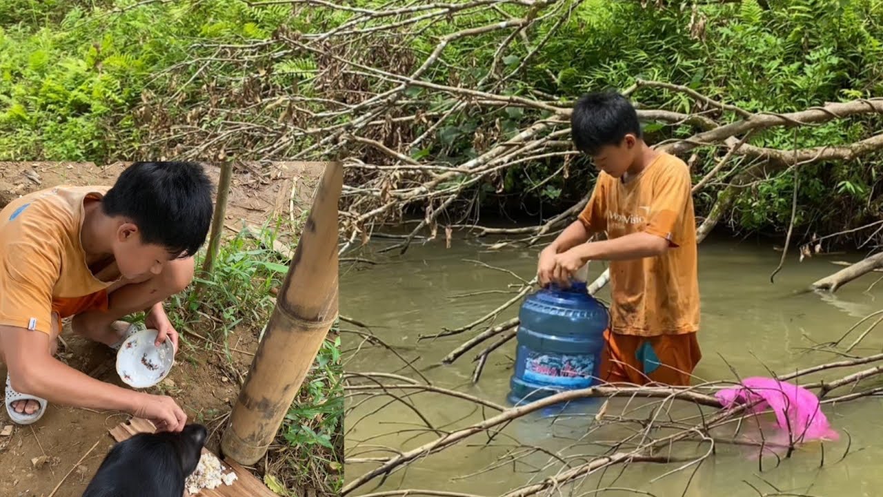 The little boy and his dog looked for food to cook the last meal and then moved to a new place