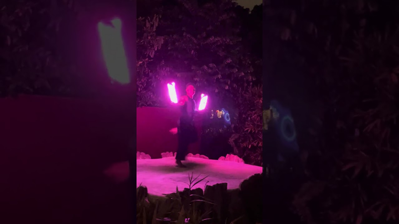 LED dance show #nightsafari