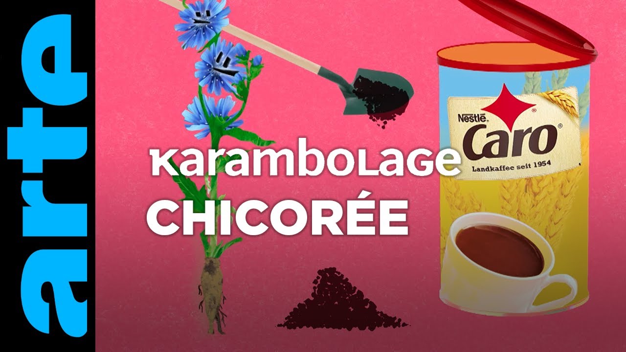 Chicor&eacute;e - Karambolage - ARTE