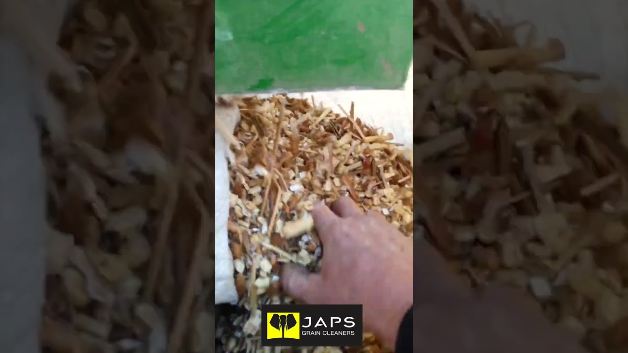 JAPS Jumbo Grain Cleaner removing Kankerroos