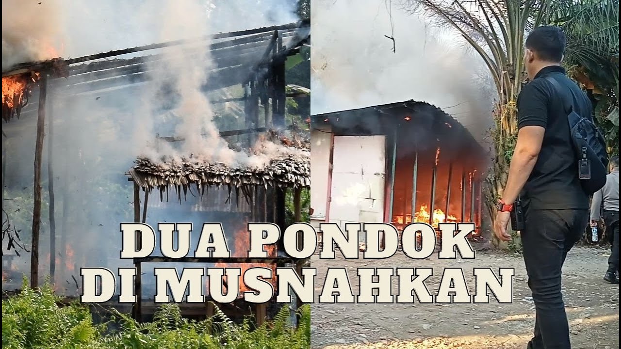 PANIK !!! PONDOK N4RK0B4 DI GREBEK  || TIM GABUNGAN SATUAN POLRESTA JAMBI