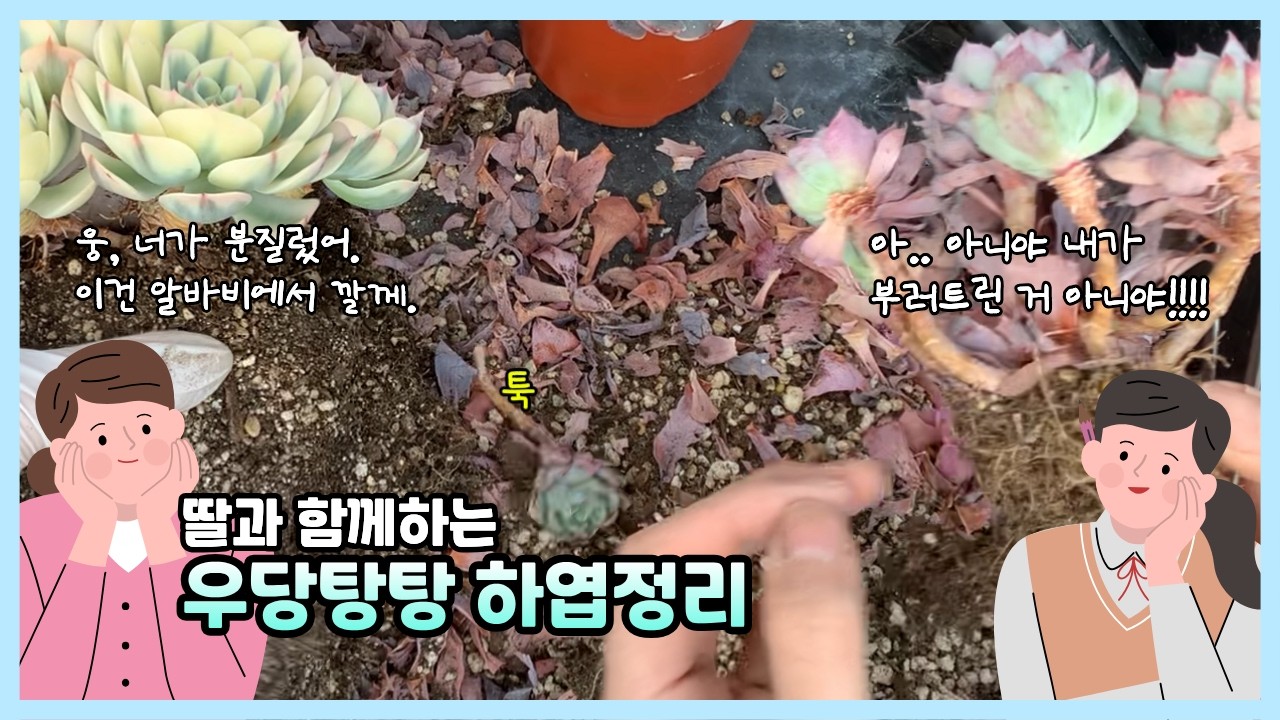 260306[하엽정리] 몸도 마음도 지쳐있을쯤 정리의 요정 출현 뭉치면 사고친다 !!!
