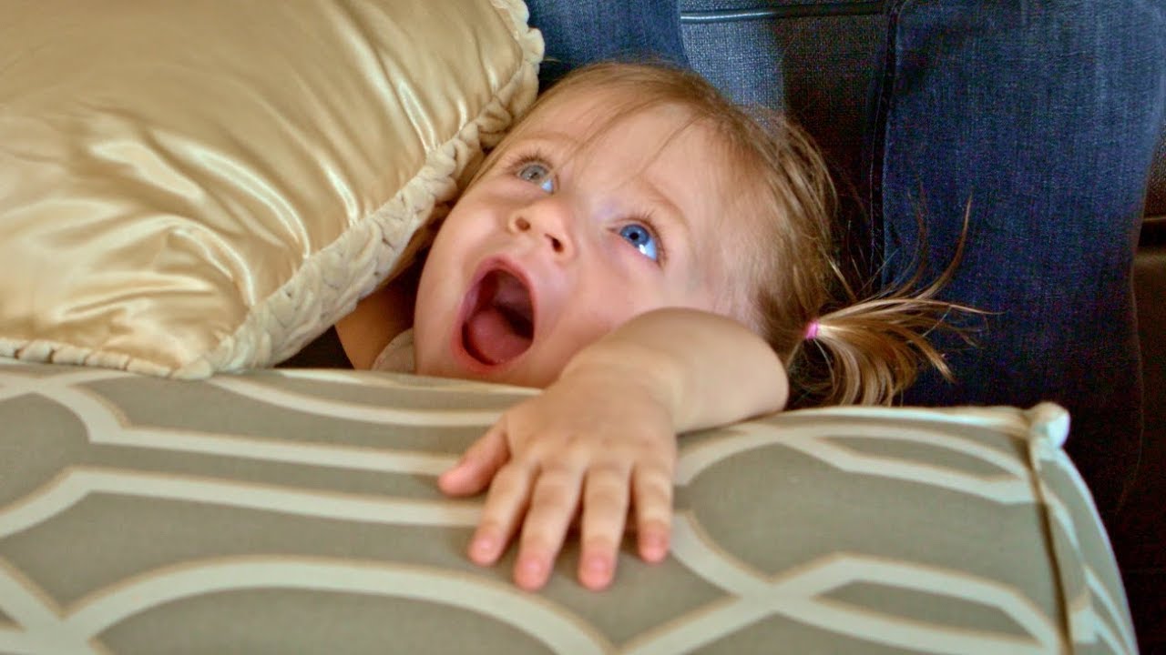 Toddler Reacts To Dad's Big Mean Kitty Book