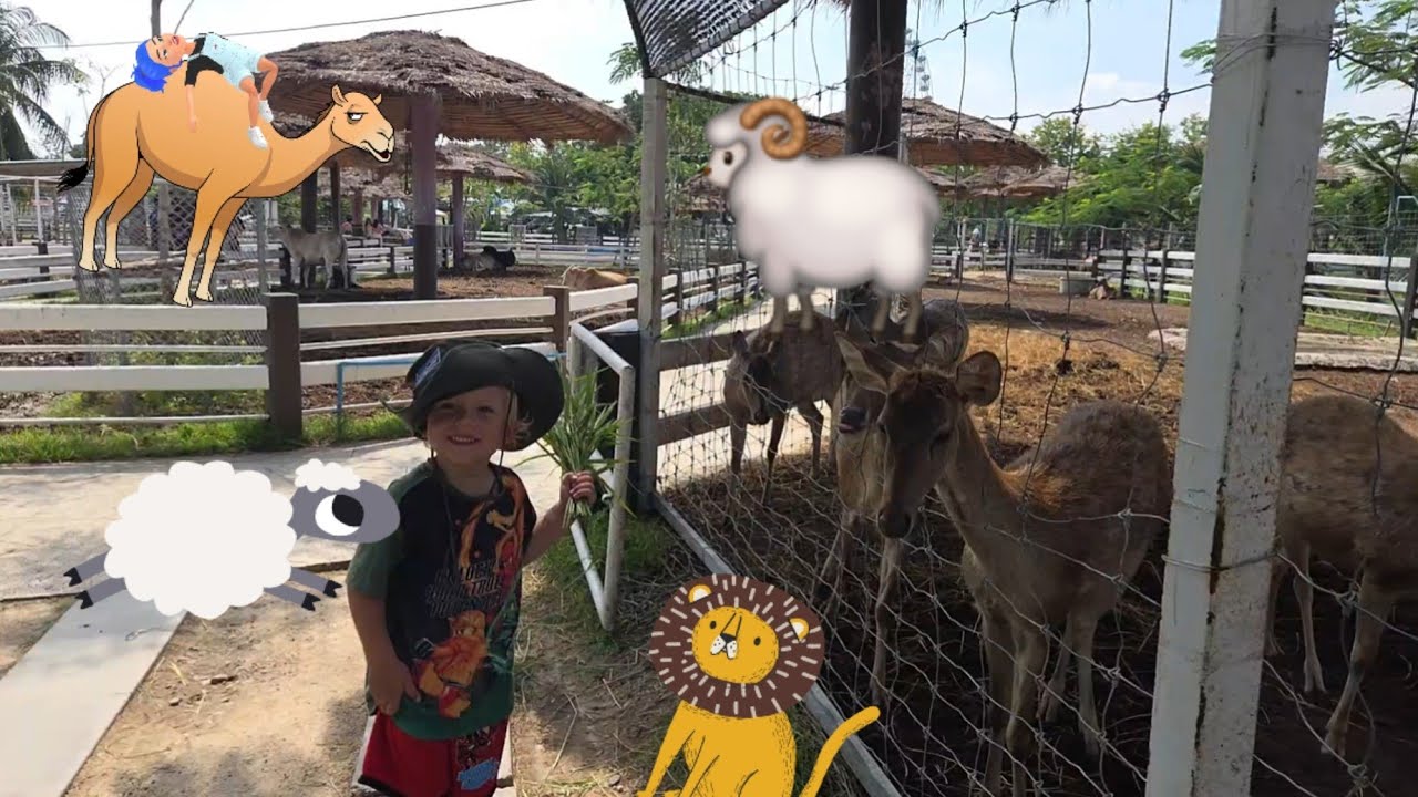 Super Coola Malai Farm, Hua Hin