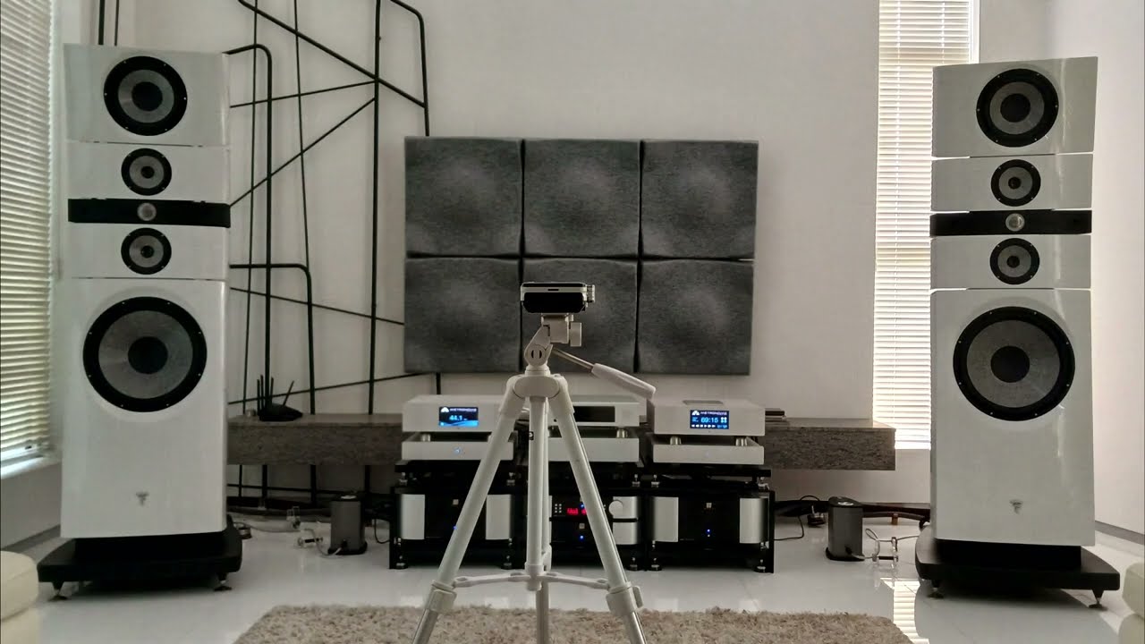 Focal Grand Utopia EM EVO #1 (before)