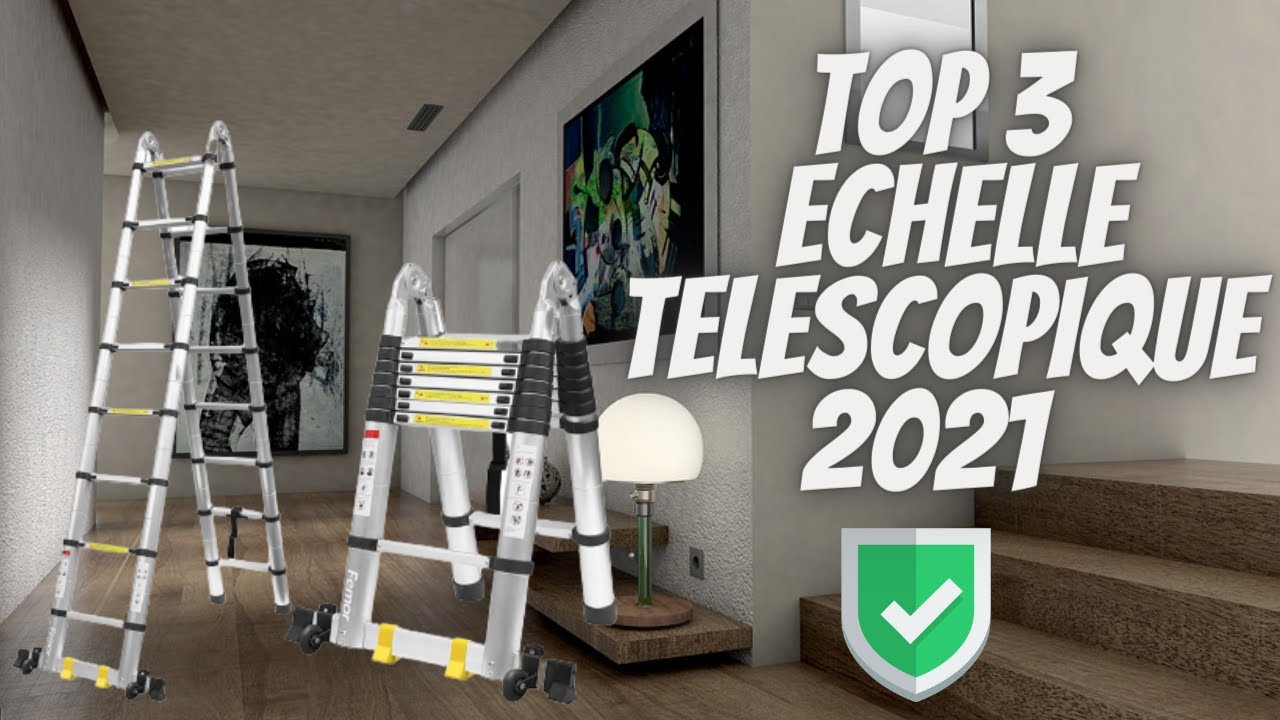 TOP 3 ECHELLE TELESCOPIQUE [2021]
