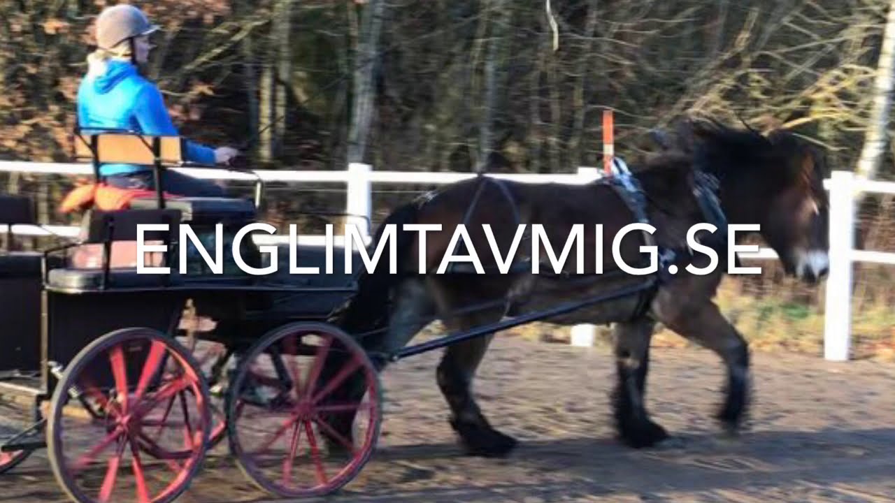 Bettl&ouml;s K&ouml;rning!! K&ouml;rning utan huvudlag!