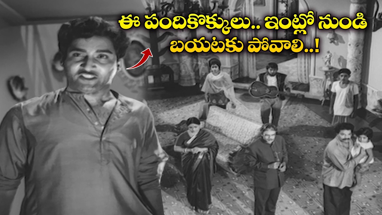 ఈ పంది కొకులు ఇంట్లో నుండి బయటకు పోవాలి..! | Bangaru Panjaram | Sobhan Babu, Vanisri | ETV