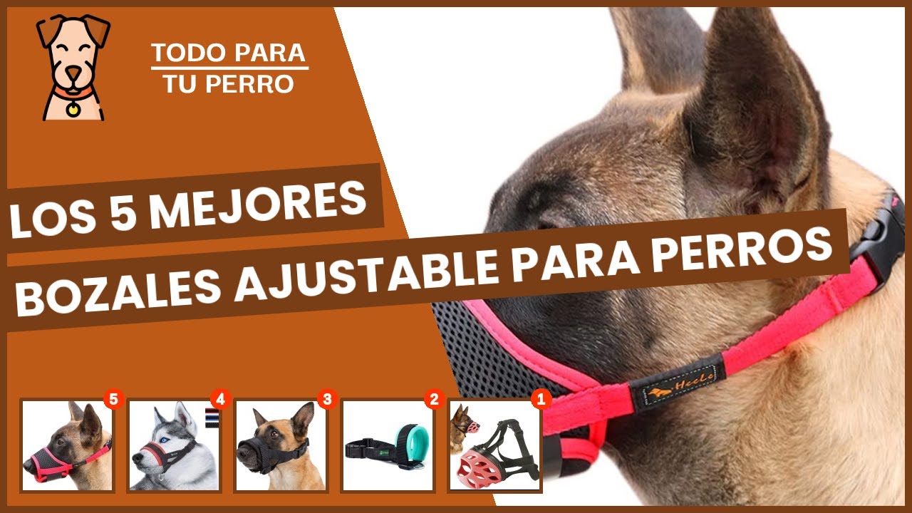 Los 5 mejores bozales ajustable para perros