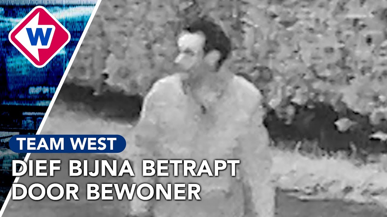 Laptop gestolen uit geparkeerde bestelbus | Team West