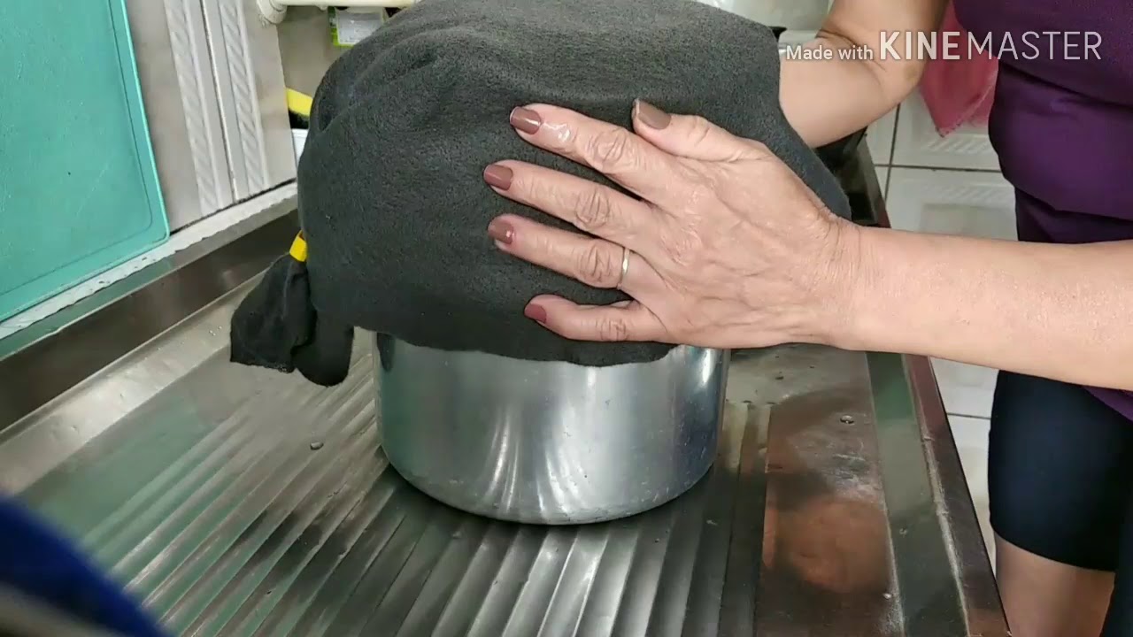 Broto de feijão Moyashi