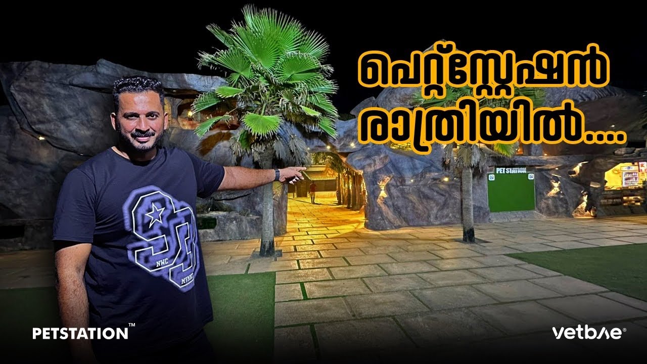 പെറ്റ്സ്റ്റേഷന്റെ രാത്രിയിലെ അവസ്ഥ ഇതാണ്‌.. രാത്രിയാണോ പകൽ ആണോ കാണാൻ ഭംഗി??