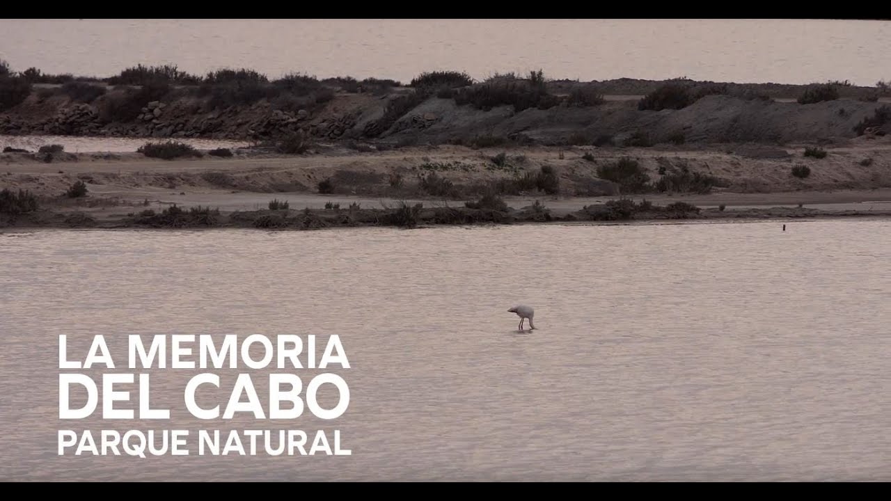 PARQUE NATURAL. LA MEMORIA DEL CABO