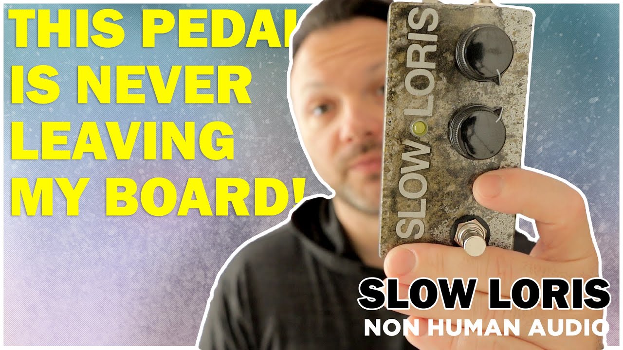 SLOW LORIS уже здесь! Нечеловеческий аудио-задержка Slapback