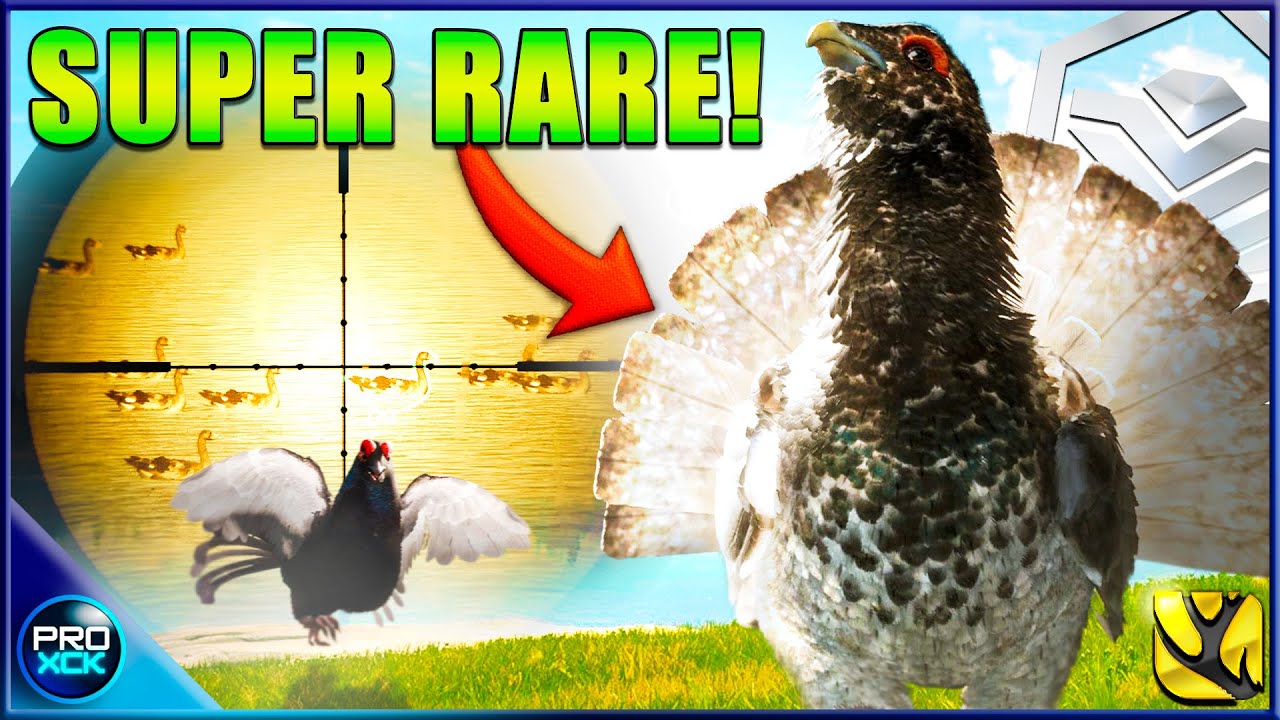 SUPER RARE DIAMOND! | Chasing 7 MONSTERS & More in Revontuli Coast! - Call of the Wild
