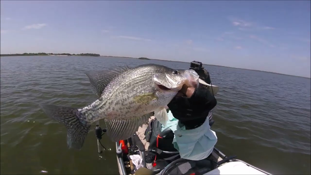 Crappie Fishing Tips ,Presentations, Jigs And More Fishing Lake Trees On Hooked Up Fishing Feat TCT
