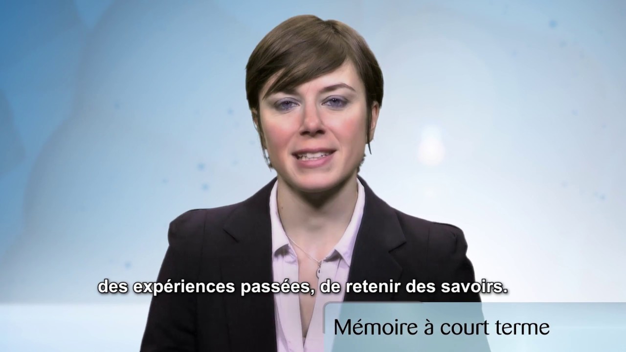 La M&eacute;moire &agrave; court terme ou La M&eacute;moire du travail