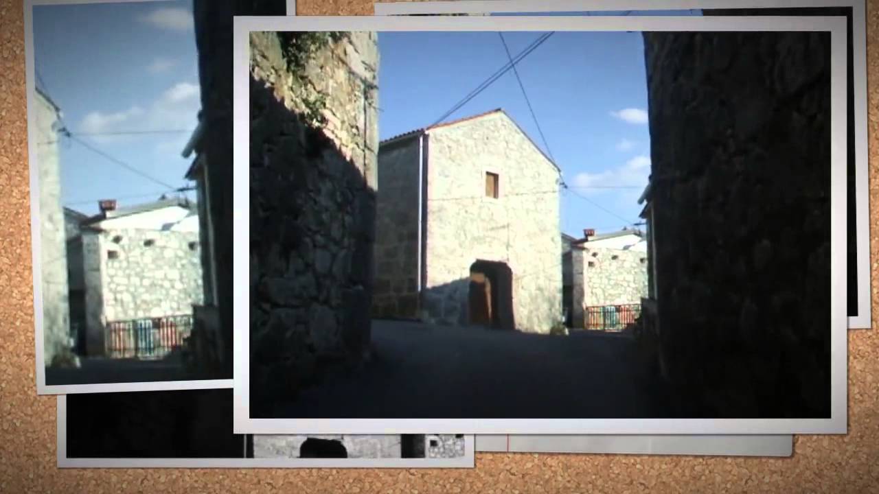 Zazid-Slovenia