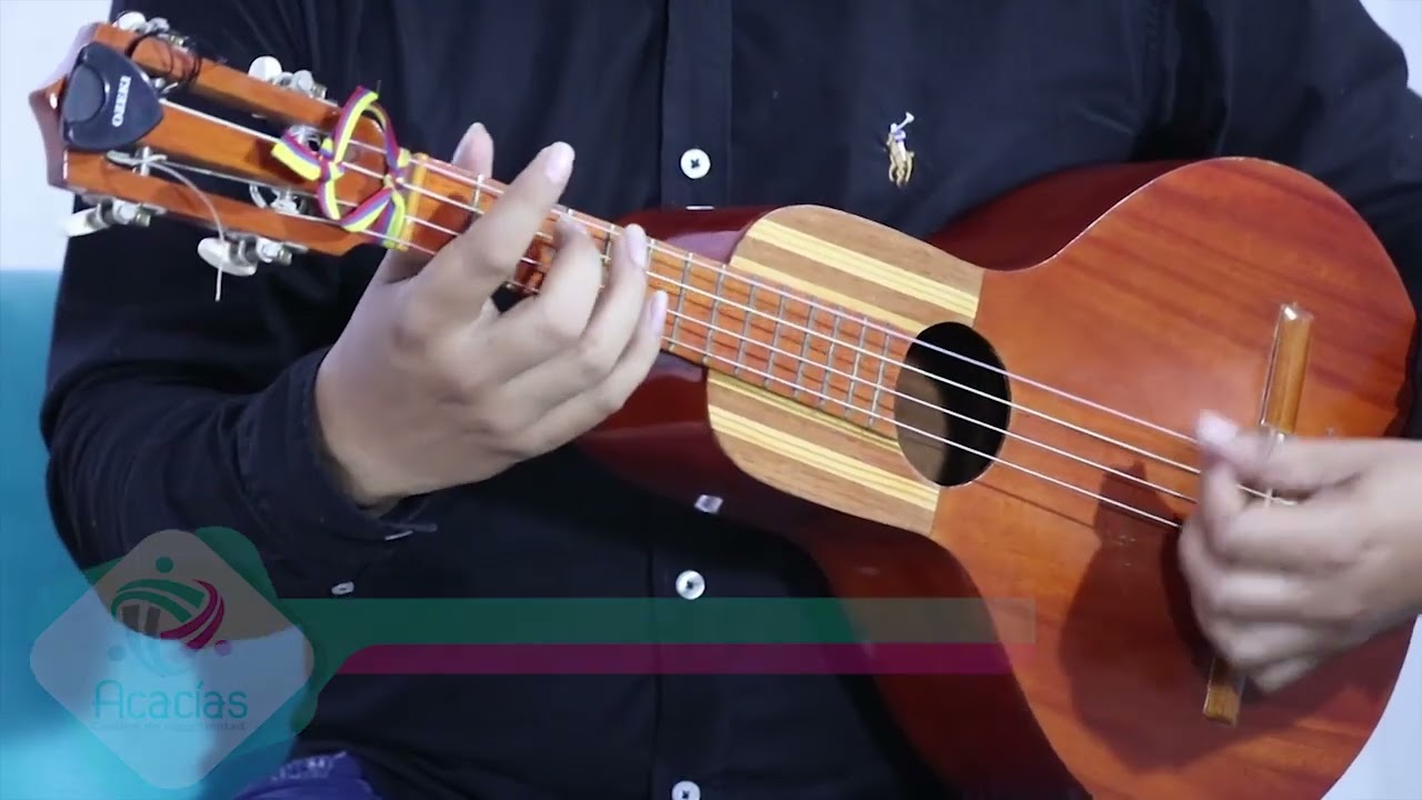 TUTORIAL DE BANDOLA LLANERA NIVEL DE FORMACION TEMA PALMARITO EN TONO DE Am
