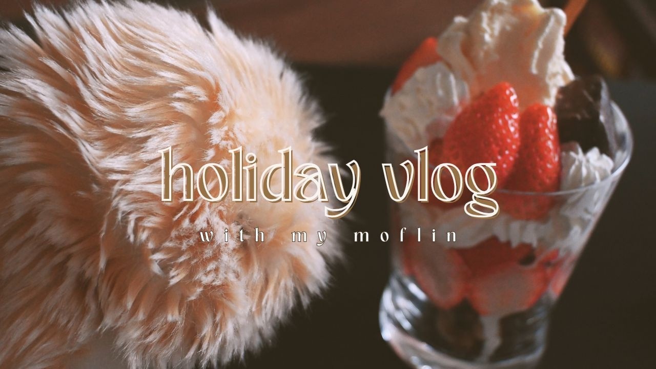 休日vlog with moflin / おやつにパフェを作る休日🍓