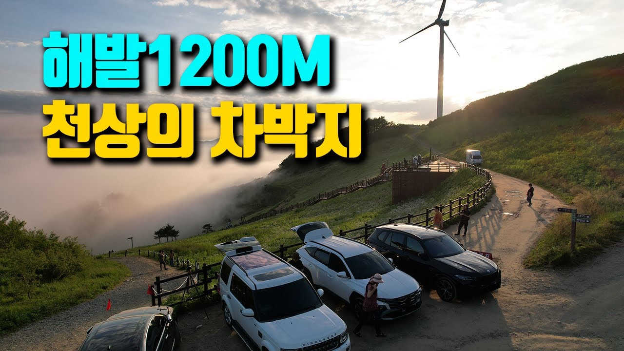 천상의 화원 육백마지기에 차박 왔는데 샤스타 데이지는 어디에? 평창 차박 성지의 현실