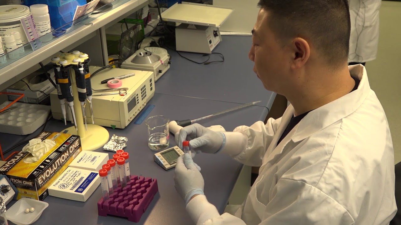 Hair Sample Analysis Video