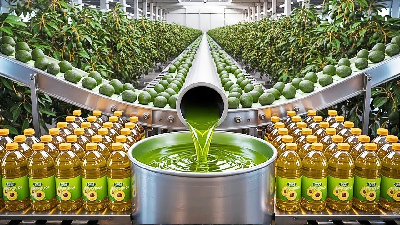 How Avocado Oil Is Made 🥑 | Inside the Factory Turning Fresh Avocados into Pure Oil